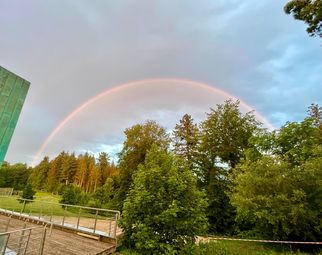 Ein Regenbogen spannt sich über einen bewaldeten Bereich mit grünen Bäumen und einem leicht bewölkten Himmel. Im Vordergrund sind einige Bäume und eine Holzterrasse sichtbar. (Text KI generiert)